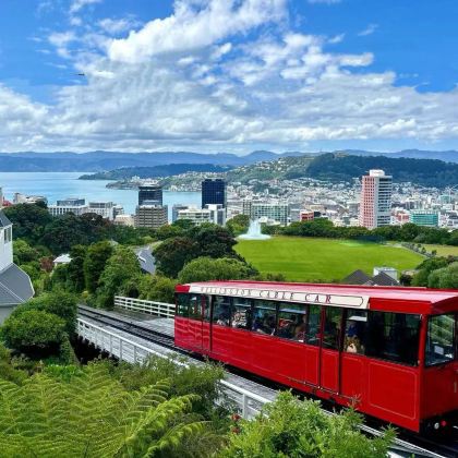 新西兰奥克兰+罗托鲁瓦+陶波+惠灵顿6日5晚私家团 新西兰奥克兰+罗托鲁瓦+陶波+惠灵顿6日5晚私家团