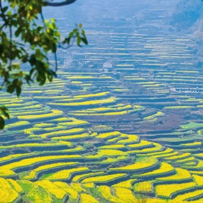 绍兴+嵊州+新昌+鲁迅故里景区+安昌古镇+绍兴柯岩风景区+张村樱花谷+十九峰4日3晚私家团 绍兴+嵊州+新昌+鲁迅故里景区+安昌古镇+绍兴柯岩风景区+张村樱花谷+十九峰4日3晚私家团