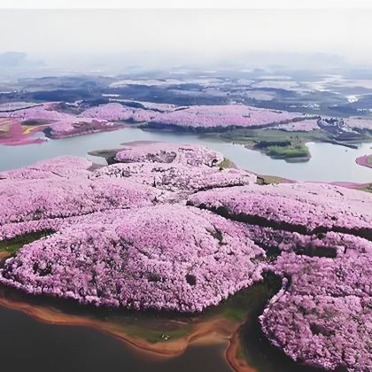 贵阳+花溪夜郎谷+红枫湖+平坝农场+天河潭旅游度假区+青岩古镇5日4晚私家团 贵阳+花溪夜郎谷+红枫湖+平坝农场+天河潭旅游度假区+青岩古镇5日4晚私家团