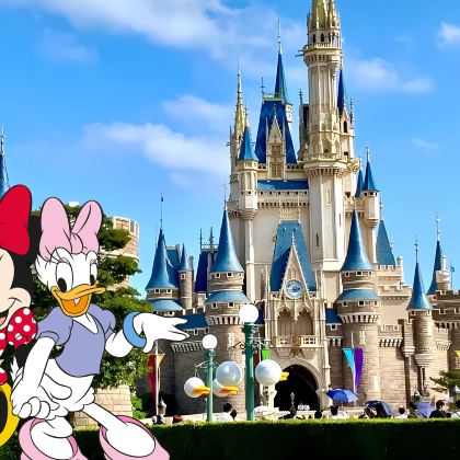 日本东京+迪士尼(Disney)+富士山7日6晚私家团 日本东京+迪士尼(Disney)+富士山7日6晚私家团
