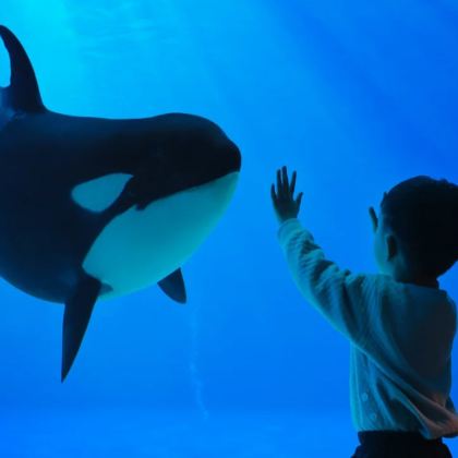 珠海长隆3日2晚私家团 珠海长隆3日2晚私家团