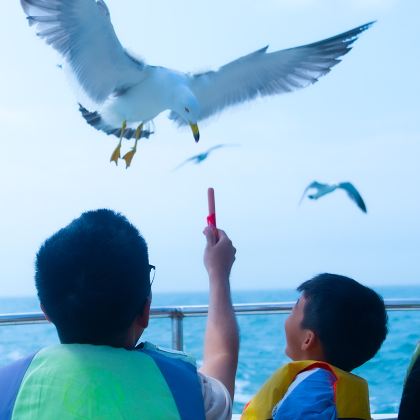 青岛+威海+烟台+蓬莱+大连6日5晚跟团游 青岛+威海+烟台+蓬莱+大连6日5晚跟团游