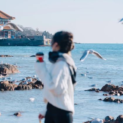 青岛+威海+荣成6日5晚自由行 青岛+威海+荣成6日5晚自由行