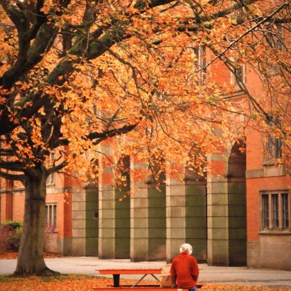 英国大伦敦+科茨沃尔德+伯明翰+华威大学+莎士比亚出生地+牛津+剑桥7日6晚拼小团 英国大伦敦+科茨沃尔德+伯明翰+华威大学+莎士比亚出生地+牛津+剑桥7日6晚拼小团