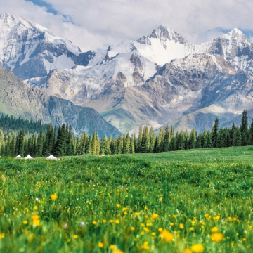新疆北疆+南疆10日9晚跟团游 新疆北疆+南疆10日9晚跟团游