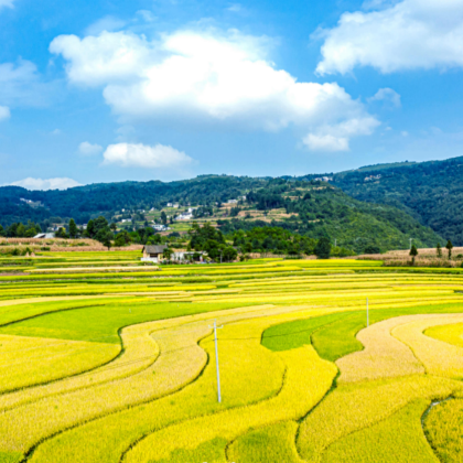 贵州5日4晚跟团游 贵州5日4晚跟团游