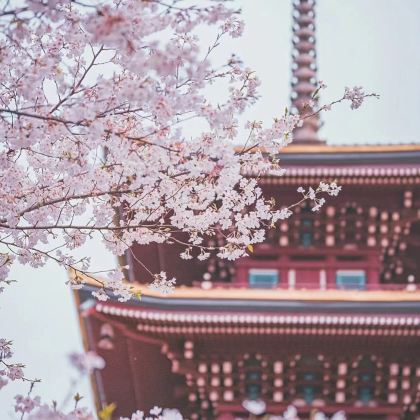 武汉4日3晚私家团 武汉4日3晚私家团