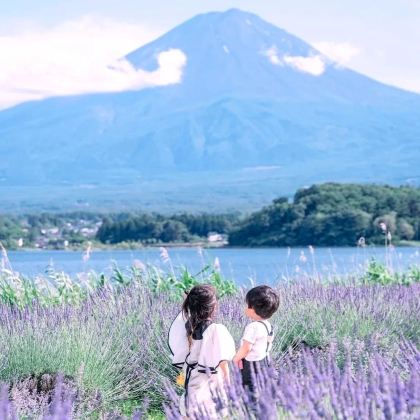 日本东京+轻井泽町+富士山+京都+大阪+日本环球影城17日16晚自由行 日本东京+轻井泽町+富士山+京都+大阪+日本环球影城17日16晚自由行