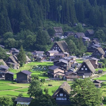 日本名古屋+东京7日6晚自由行 日本名古屋+东京7日6晚自由行