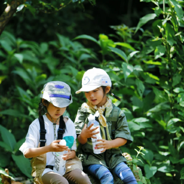 云南腾冲+芒市+和顺古镇景区7日6晚私家团 云南腾冲+芒市+和顺古镇景区7日6晚私家团