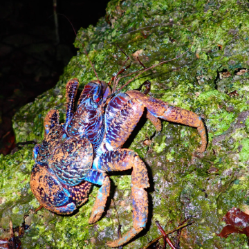 日本宫古岛5日4晚私家团 日本宫古岛5日4晚私家团