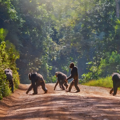 卢旺达8日7晚私家团 卢旺达8日7晚私家团