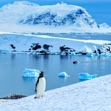 巴西+阿根廷+智利+秘鲁+乌拉圭+南极洲33日跟团游 巴西+阿根廷+智利+秘鲁+乌拉圭+南极洲33日跟团游