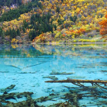 成都+峨眉山+乐山大佛+九寨沟+黄龙风景名胜区+都江堰9日8晚跟团游 成都+峨眉山+乐山大佛+九寨沟+黄龙风景名胜区+都江堰9日8晚跟团游