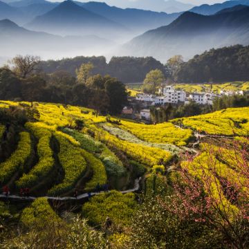 黄山+宏村景区+新安江山水画廊+徽州古城+婺源篁岭景区9日8晚跟团游 黄山+宏村景区+新安江山水画廊+徽州古城+婺源篁岭景区9日8晚跟团游