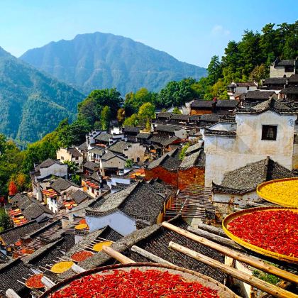 婺源篁岭景区+黟县宏村景区2日1晚私家团 婺源篁岭景区+黟县宏村景区2日1晚私家团