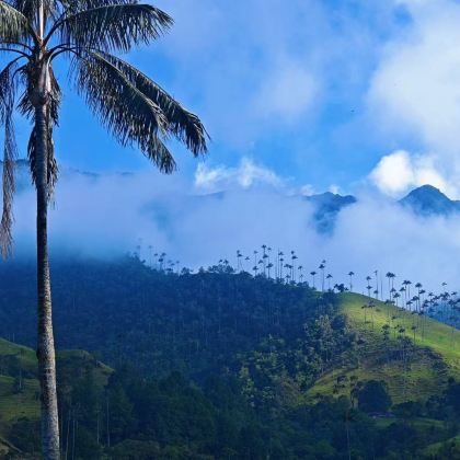 哥伦比亚波哥大+卡塔赫纳+萨伦托+巴拿马巴拿马城10日8晚私家团 哥伦比亚波哥大+卡塔赫纳+萨伦托+巴拿马巴拿马城10日8晚私家团