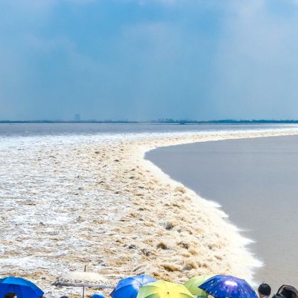 海宁+杭州3日2晚跟团游 海宁+杭州3日2晚跟团游