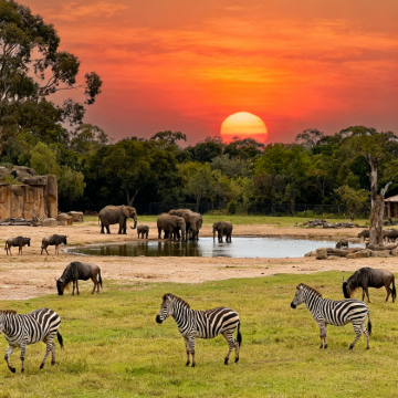 法国巴黎+慕尼黑+苏黎世15日13晚私家团 法国巴黎+慕尼黑+苏黎世15日13晚私家团