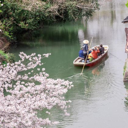 日本九州+别府+熊本市+鹿儿岛市+指宿沙蒸温泉+知覧武家屋敷庭園+雾岛市+福冈7日6晚跟团游 日本九州+别府+熊本市+鹿儿岛市+指宿沙蒸温泉+知覧武家屋敷庭園+雾岛市+福冈7日6晚跟团游