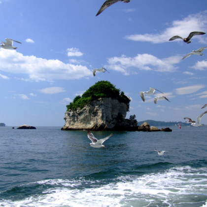 日本仙台4日3晚跟团游 日本仙台4日3晚跟团游