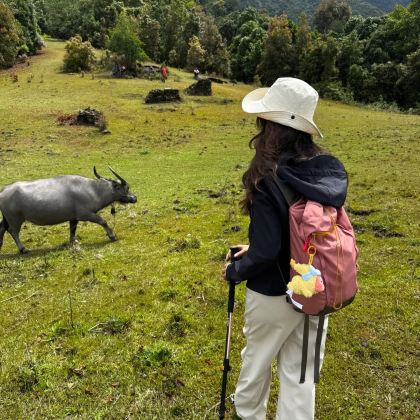 腾冲+和顺古镇5日4晚私家团 腾冲+和顺古镇5日4晚私家团