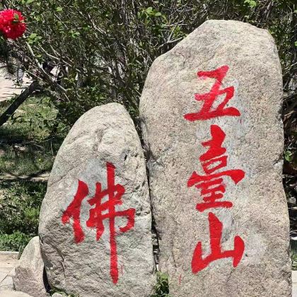 山西五台山+平遥古城+乔家大院+双林寺2日自由行 山西五台山+平遥古城+乔家大院+双林寺2日自由行