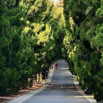 崂山风景区+趵突泉景区+泰山风景区+曲阜三孔景区+青州古城+蓬莱阁+刘公岛景区+清照泉城·明水古城国际泉水旅游度假区6日5晚跟团游 崂山风景区+趵突泉景区+泰山风景区+曲阜三孔景区+青州古城+蓬莱阁+刘公岛景区+清照泉城·明水古城国际泉水旅游度假区6日5晚跟团游