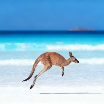 澳大利亚西澳大利亚珀斯+埃斯佩兰斯Lucky Bay+波浪岩+粉色湖泊3日2晚跟团游 澳大利亚西澳大利亚珀斯+埃斯佩兰斯Lucky Bay+波浪岩+粉色湖泊3日2晚跟团游