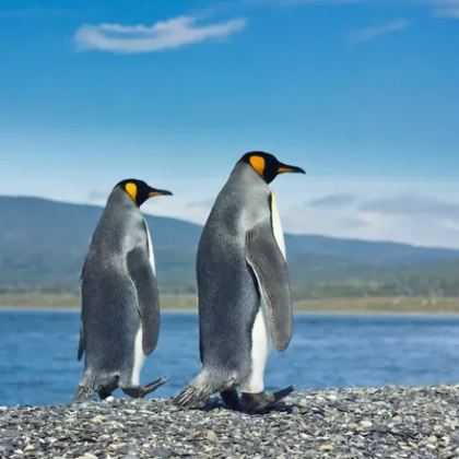 智利圣地亚哥+百内国家公园+格雷冰川+瓦尔帕莱索10日9晚拼小团 智利圣地亚哥+百内国家公园+格雷冰川+瓦尔帕莱索10日9晚拼小团