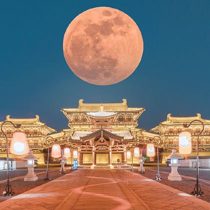 河南5日4晚跟团游 河南5日4晚跟团游