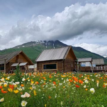 北疆+喀纳斯景区+禾木风景区8日7晚跟团游 北疆+喀纳斯景区+禾木风景区8日7晚跟团游