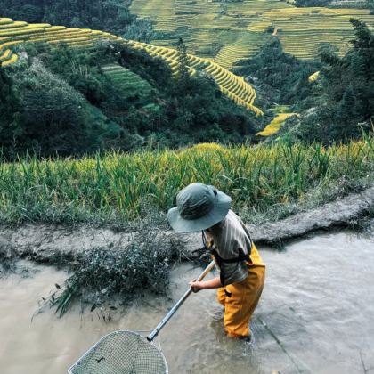 广西桂林+龙脊梯田+古东瀑布+漓江+阳朔6日5晚私家团 广西桂林+龙脊梯田+古东瀑布+漓江+阳朔6日5晚私家团