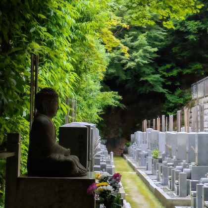 日本东京+富士河口湖町+京都+大阪+日本环球影城+富士山8日7晚拼小团 日本东京+富士河口湖町+京都+大阪+日本环球影城+富士山8日7晚拼小团