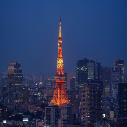 日本东京+富士山+大阪+京都+奈良市7日6晚跟团游 日本东京+富士山+大阪+京都+奈良市7日6晚跟团游