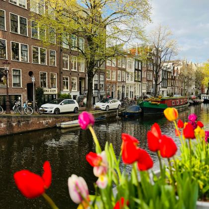 阿姆斯特丹+海牙+鹿特丹+爱因霍温+德哈尔古堡11日10晚私家团 阿姆斯特丹+海牙+鹿特丹+爱因霍温+德哈尔古堡11日10晚私家团