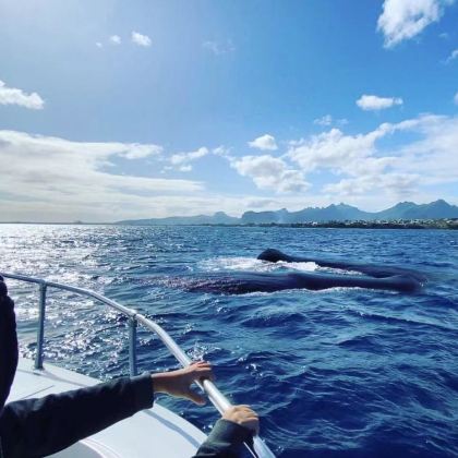 毛里求斯+迪拜10日8晚私家团 毛里求斯+迪拜10日8晚私家团