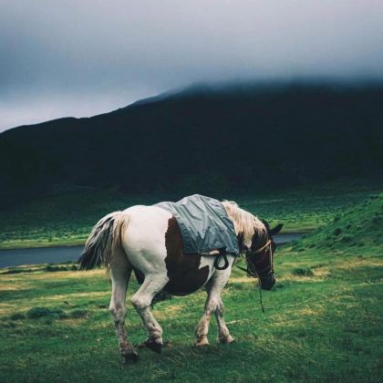 日本福冈+熊本+长崎+别府6日5晚私家团 日本福冈+熊本+长崎+别府6日5晚私家团