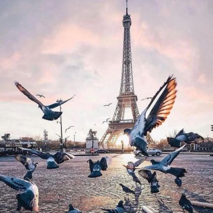 西班牙+法国10日9晚私家团 西班牙+法国10日9晚私家团