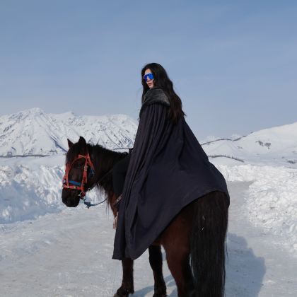 新疆北疆+伊犁8日7晚拼小团 新疆北疆+伊犁8日7晚拼小团