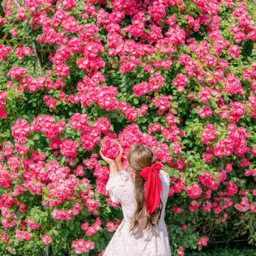 韩国首尔3日2晚私家团 韩国首尔3日2晚私家团