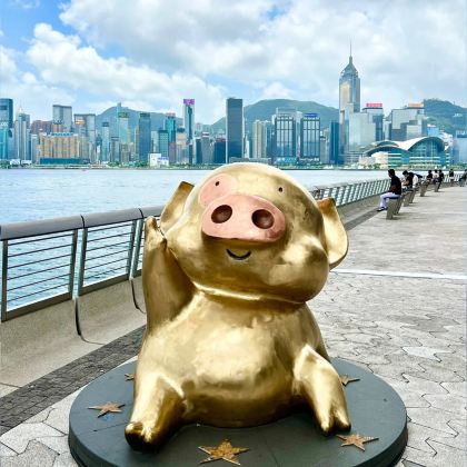 香港+澳门+太平山顶2日1晚私家团 香港+澳门+太平山顶2日1晚私家团