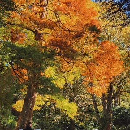 新西兰北岛7日5晚跟团游 新西兰北岛7日5晚跟团游