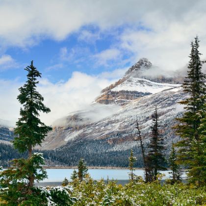 美国东西海岸+加拿大东西海岸+加拿大落基山脉+墨西哥28日跟团游 美国东西海岸+加拿大东西海岸+加拿大落基山脉+墨西哥28日跟团游