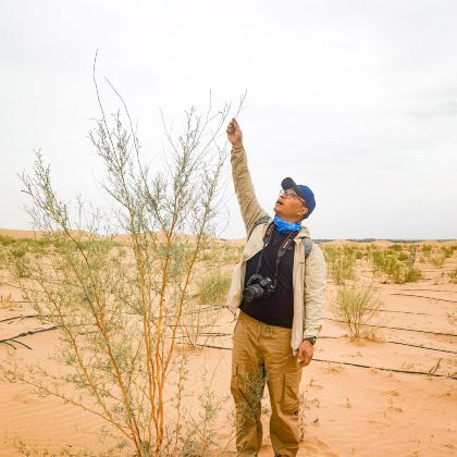 亲近自然·3.12 云植树丨我在沙漠有棵梭梭树，百万棵树计划，邀您一起来参加！