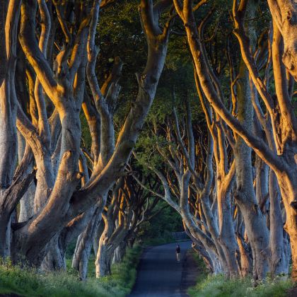 英格兰+北爱尔兰+苏格兰12日私家团 英格兰+北爱尔兰+苏格兰12日私家团