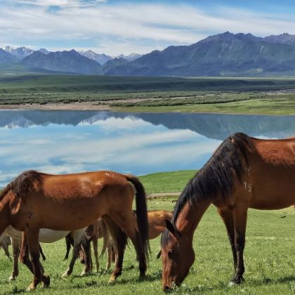 张掖6日5晚私家团 张掖6日5晚私家团