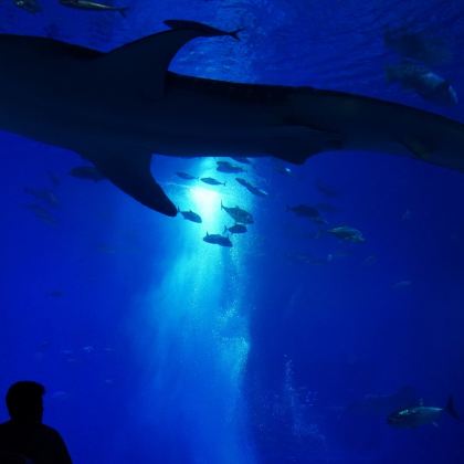 日本冲绳县6日5晚自由行 日本冲绳县6日5晚自由行