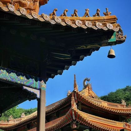 浙江普陀山风景区4日3晚跟团游 浙江普陀山风景区4日3晚跟团游