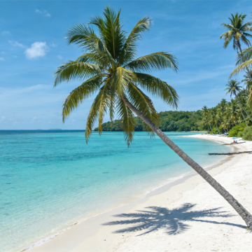 民丹岛+新加坡+马六甲8日7晚私家团 民丹岛+新加坡+马六甲8日7晚私家团